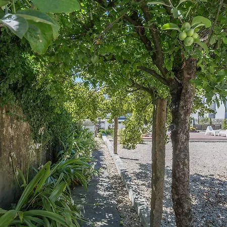 Πανσιόν Porto Studios Πόρτο